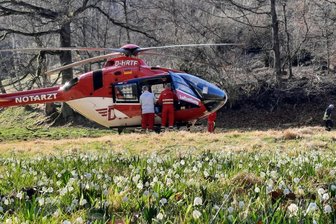 Sächsische Schweiz: Wanderer 15 Meter tief in einen Fluss gestürzt - Ein Rettungshubschrauber flog den verletzten Senior in ein Krankenhaus.