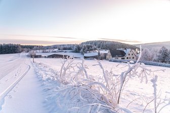 Sächsisches Sibirien: Thermometer in Erzgebirgsort misst Minus 23 Grad - Schnee und Frost sind zurück im Erzgebirge.