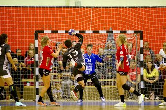 Saisonabbruch in der Frauen-Handball-Bundesliga wegen Coronavirus -