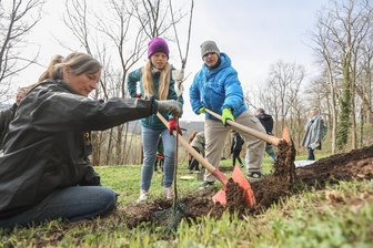 Saisoneröffnung im Schlosspark: „In Lichtenwalde werden nicht nur Bäume gefällt, sondern auch gepflanzt“ - Tina Langklotz, Alina und Jonas pflanzten einen Baum der Sorte „Lausitzer Nelkenapfel“.