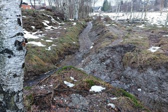 Sanierung nötig: Bei Starkregen kann der Deumersbach in Hammerbrücke die Wassermassen nicht geregelt abfließen lassen - Ein Abschnitt des Deumersbaches in Hammerbrücke wird im kommenden Jahr saniert.