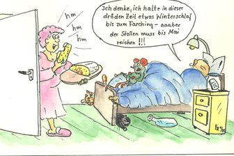 Satire zum Wochenende: Die beste Zeit, eine Umgehungsstraße zu bauen, ist jetzt - Hier ein konstruktiver Vorschlag, wie man die Zeit zwischen Neujahr und Fasching sinnvoll verbringen kann.