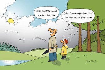 Satire zum Wochenende: Freilaufende Löwen in Freiberg und ein schlafender Prinz in Falkenau - „Sommer“ferien ist ein dehnbarer Begriff.