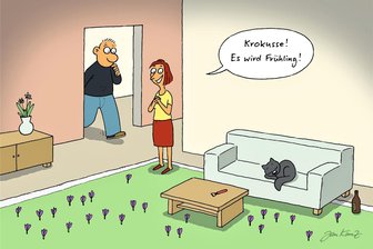 Satire zum Wochenende mit Haushaltstipp: So legen Sie im Wohnzimmer eine Krokuswiese an - Indoor-Krokuswiesen erfreuen sich zunehmender Beliebtheit.