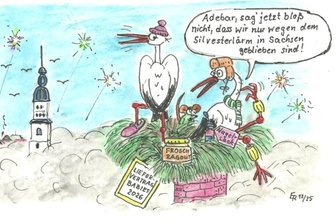 Satire zum Wochenende: Zukunft wird aus Brut gemacht - Beste Aussichten: das Storchennest in Frankenberg.