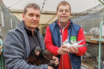 Sauerkraut und Geflügel locken zu Veranstaltungen - 