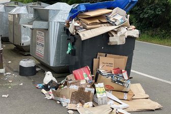 „Saustall“ um Papiercontainer im Vogtland: So reagiert das Abfallamt - In Bösenbrunn war der Papiercontainer am Standort Drödaer Straße über Wochen ein Ärgernis.