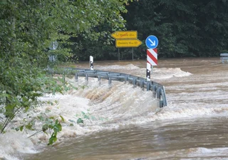 Flut