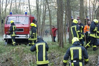 Scharfenstein: Zug erfasst Kuhherde - sieben Tiere tot -