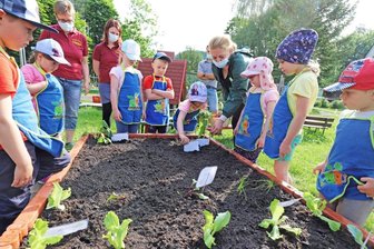 "Schatzinsel" züchtet eigenes Gemüse -