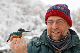 Scheiben sind auch für Eisvögel eine große Gefahr - Tobias Rietzsch mit dem Eisvogel, der die Kollision mit einer Fensterscheibe überlebt hat.