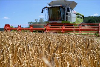 Schlechte Getreideernte: Werden demnächst Backwaren teurer? - Getreideernte auf einem Gerstenfeld bei Grimma (Landkreis Leipzig) im Juli. Nach drei trockenen Jahren hat nun ein regenreicher Sommer für Einbußen bei der Getreideernte in Sachsen gesorgt. 