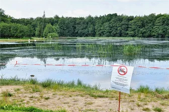 Schlingpflanzen-Plage im Großen Teich Freiberg: Wann ist wieder Baden möglich? - Wegen Schlingpflanzen ist das Waldbad "Soldatenteich" in Freiberg derzeit für den Badebetrieb gesperrt.