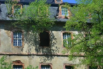 Schloss Neusorge wird zwangsversteigert - Ein Baum wächst durchs Dach, mehrere Fenster sind kaputt. Die Rückansicht zeigt: Schloss Neusorge ist in besorgniserregendem Zustand.