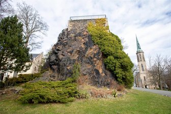 Schlossfelsen Falkenstein: Bewuchs wird entfernt - Der rund 100 Jahre alte Efeu am Schlossfelsen wird im nächsten Jahr komplett entfernt.