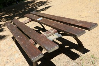 Schlosspark Planitz: Chaoten wollten wohl Feuer machen - Offenbar wollten Unbekannte mit den Banklatten Feuer machen.