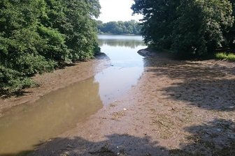 Schloßteich zur Hälfte leer gelaufen - Rings um die Schloßteichinsel war der Wasserstand am Donnerstagmorgen so niedrig, dass der Grund zu sehen war.