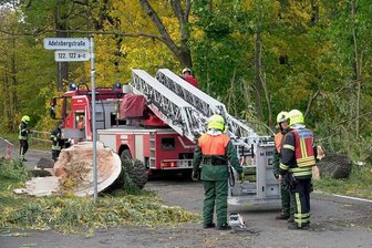 Schloßteichinsel in Chemnitz bleibt wegen Sturmschäden gesperrt - Rund 150 Mal rückte die Feuerwehr am Donnerstag aus, um Sturmschäden - wie hier an der Adelsbergstraße - in Chemnitz zu beseitigen. 