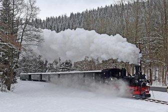 Schmuggler im Erzgebirge: Auf Pascherjagd im Preßnitztal - 