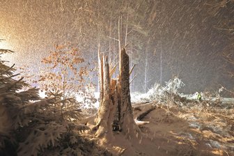 Schnee, Frost und Glätte: Das kommt am Wochenende auf Sachsen zu - Ein Schneesturm hat am Donnerstagabend entlang der B180 (Höhe Betlehemstift) eine Fichte entwurzelt, anschließend war die Bundesstraße voll gesperrt.