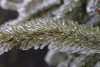 Schnee in den Bergen - Der Schnee ist zumindest vorübergehend wieder zurück, auch hier im Harz. (Symbolbild)