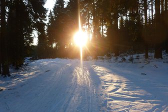 Schneemobile auf Loipe im Vogtland werfen Fragen auf - Erlbachs Wintersportverein präpariert viele Hänge und Loipen, so am Hohen Brand.