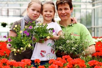 Blumen