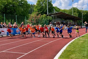 Schneller und weiter: 150 junge Leichtathleten wetteifern im Auenstadion Flöha - Hier starten die Jungen der 2. Klasse zum 800-Meter-Lauf im Flöhaer Auenstadion.