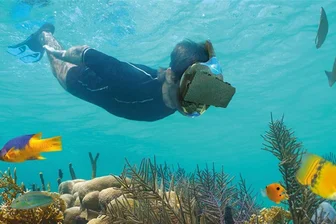 Schnorcheln mit VR-Brillen: Albertbad in Bad Elster mit besonderem Jubiläumshighlight - Bunte Fische sehen, obwohl man sich im Albertbad befindet: Das ist nächste Woche in Bad Elster möglich.