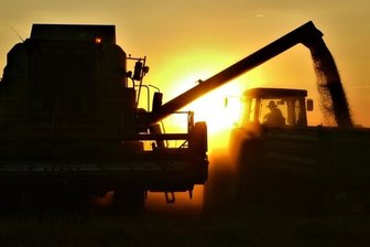 Schön ist die Erntezeit - 