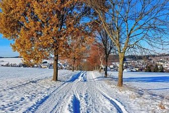 Schönstes Winterfoto gesucht - 