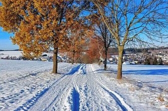 Schönstes Winterfoto gesucht - 