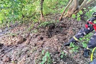 „Schon seltsam“: Wiese in Penig brennt erneut - Zweimal innerhalb weniger Tage brannte in Penig eine Wiese. Das Foto zeigt den Ort beim ersten Brand am 13. Juni.