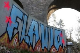 Schon wieder Schmierereien aufgetaucht - Im Bereich der neuen Hirschgrundbrücke ist diese Schmiererei aufgetaucht.