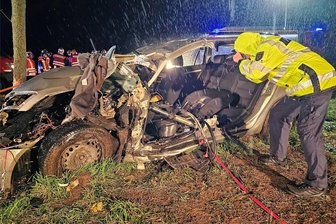 Schon wieder schwerer Unfall zwischen Crimmitschau und Zwickau: Staatsstraße bleibt zwei Stunden voll gesperrt - Stark beschädigt: Der Skoda ist am Mittwochnachmittag gegen einen Baum geprallt.