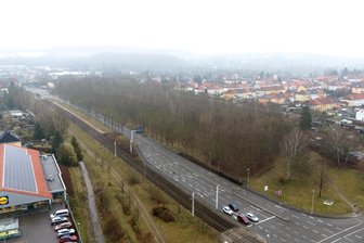 Schonfrist für Tiere im Wald an der Planitzer Straße: Genehmigung für Rodung noch nicht erteilt - Das Waldstück an der Planitzer Straße soll für eine Wohnbebauung gerodet werden.