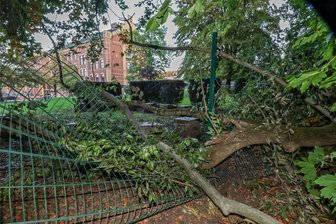 Schreck an der Tännichtoberschule in Meerane: Riesiger Ast einer Buche landet auf dem Schulhof - Blick vom Wilhelm-Wunderlich-Park zum Schulhof: Der Ast einer Buche ist beim Sturm abgebrochen.