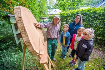 Schüler aus dem Erzgebirge erleben Natur zum Anfassen in Affalter - Herbergsleiter Andreas Bochmann erklärt Niklas Hübner, Elisa Stephan, Tjara Schiefer und Emely Weiß (v. l.) die Jahresringe.
