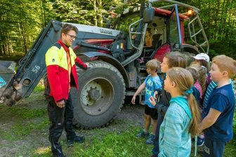 Schüler erkunden Wald - 