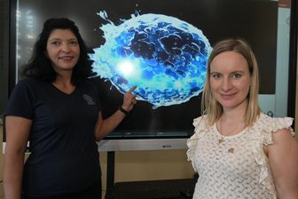 Schule räumt Preise bei Wettbewerb ab - 
