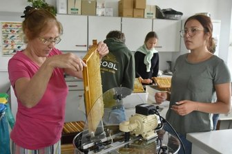 Schulimker ernten Honig -
