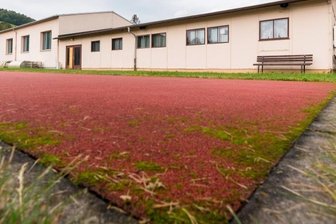 Schulsporthalle bekommt neues Funktionsgebäude - Der Sozial- und Umkleidebereich (vorn) der Schulsporthalle Blumenau soll von einem Neubau ersetzt werden.
