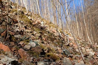 Schuttberg am Hirschstein: Kein Gefahrenverdacht - Ziegel, Steine und Betonreste liegen hier.