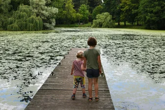 Schwanenteich in Mittweida zeigt sich grün, Sprudler defekt: Das sagt die Stadt - Der Schwanenteich in Mittweida, grün gefärbt durch Entengrütze.