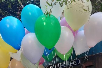 Schwarzenberg: Geburtstagsgrüße stürmen zum Gipfel - An diesen Luftballons stiegen viele gute Wünsche für die Schwarzenberger Künstlerin Gudrun Beier in den Himmel.