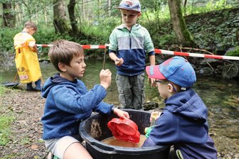 Schwarzenberg: Junge Perlentaucher „schürfen“ erfolgreich am Pöhlwasser - Sebastian, Taavi und Karl (vorn v. l.) von den „Pöhlbachzwergen“ auf Schatzsuche nach „Perlen“ im Pöhlwasser.