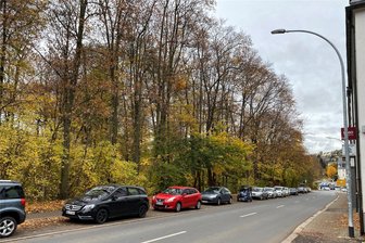 Schwarzenberg: Kann aus einer vernachlässigten Grünfläche ein kleines Wohngebiet werden? - Das Grundstück, das der neue Eigentümer bebauen will, wird unter anderem durch die Grünhainer Straße begrenzt. Schon um die Verkehrssicherheit zu gewährleisten, könnten hier Baumfällungen notwendig werden.