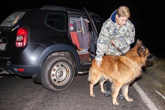 Schwarzenberg/Lauter: Fußgänger stirbt noch auf der Straße - Der 61-jährige Passant war gestern Abend mit seinem Schäferhundmischling auf der B101 unterwegs, als er von einem Opel erfasst wurde. Der Mann starb noch an der Unfallstelle.