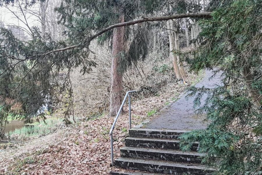 Schwarzenberg: Rockelmannpark wird wegen Pflegearbeiten vier Tage gesperrt - Handlungsbedarf gibt es im Schwarzenberger Rockelmannpark nicht nur an dieser Stelle. An mehreren hohen Bäumen, zum Teil in unmittelbarer Nähe von Wegen, wurden bei einer Kontrolle Totholz festgestellt, das entfernt werden muss. 