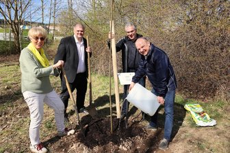 Schwarzenberger setzen zum Tag des Baumes den Baum des Jahres - Eine Pflanzaktion zum Tag des Baumes hat es am Pappelweg in Schwarzenberg gegeben.